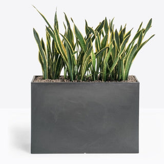 Pedrali Kado vase for outdoor use H.60 cm. - Buy now on ShopDecor - Discover the best products by PEDRALI design
